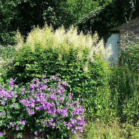 La Detente Gourmande - Porcheresse *